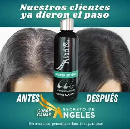 CHAMPÚ CUBRE CANAS - SECRETO DE ÁNGELES